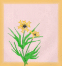 yellowflowers40.jpg