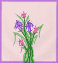 flowers45.jpg