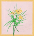 yellowflowers29.jpg