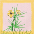 yellowmarigolds30.jpg